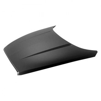 DODGE DAKOTA_PICKUP 2007 HOOD CH1230240